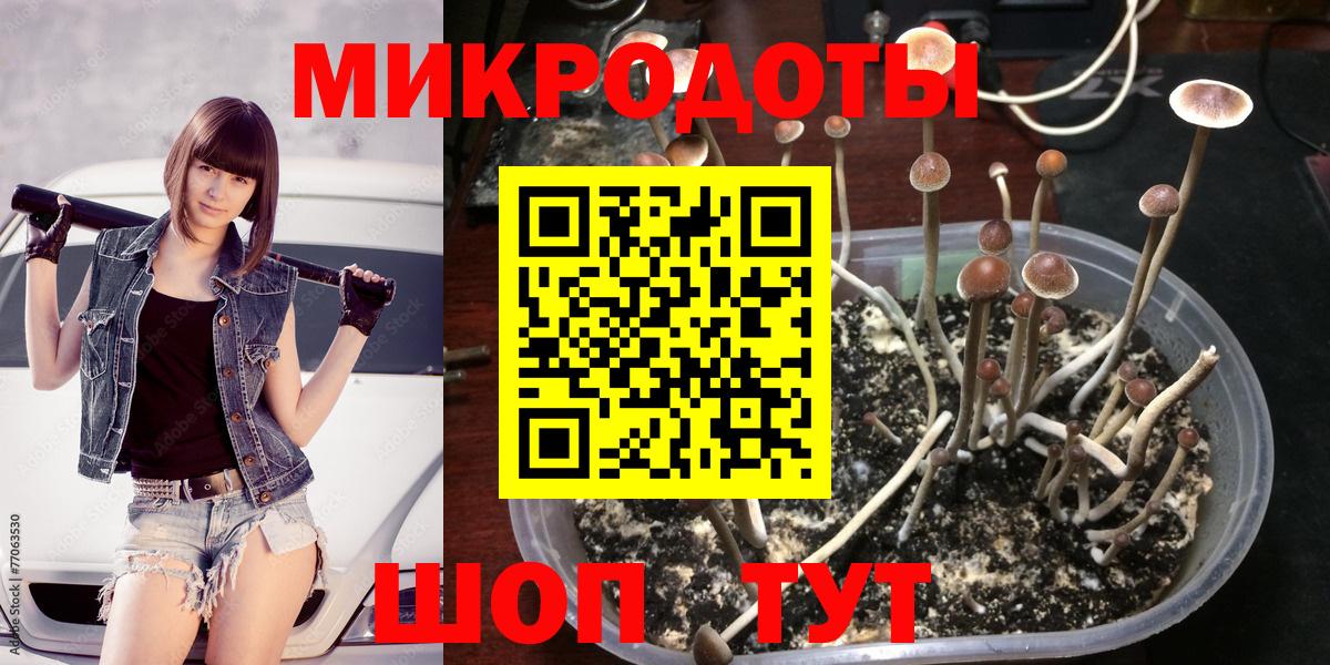 как найти закладки  Галлюциногенные грибы мицелий  Вход с VPN  Якутск 